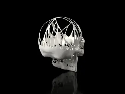 Skull Dust Voronoi Low-poly 3D model