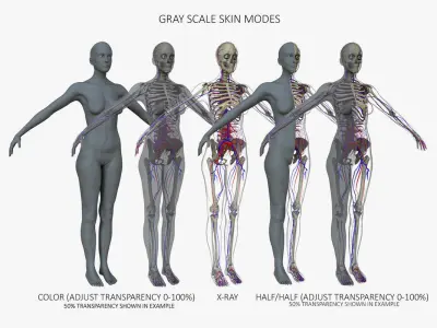 Ultimate Complete Rigged Female 3D model