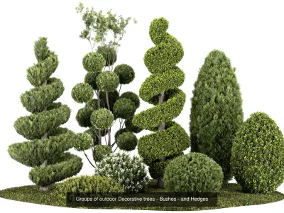 Plants and Pools Collection  3D Model Pack