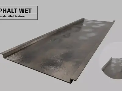 Wet asphalt 3D model