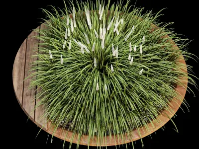 Parabel two 3D model