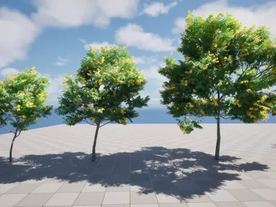E5 Wind Plants - Bulnesia arborea - verawood Low-poly 3D model