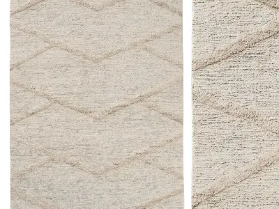 ARHAAN JUTE RUG 3D model