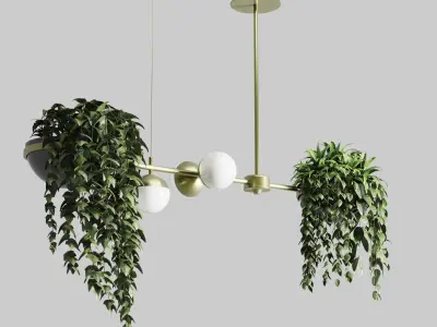indoor plant and hanging plant and pot light  3D Model Pack