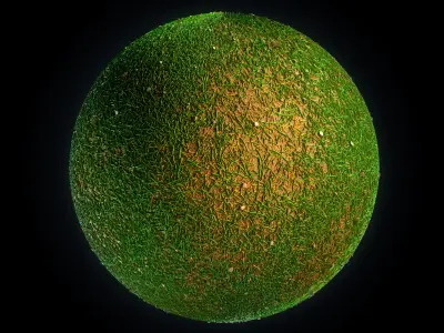 Grass - Wood-VOL 01-Maps - SBsar Texture