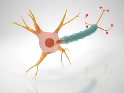 Neuron Cell Low-poly 3D model