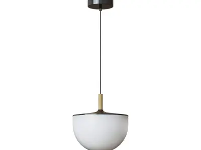 Neda Pendant Light 3D model
