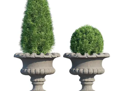 Renaissance 3D model