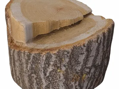 trunk 103 3D model