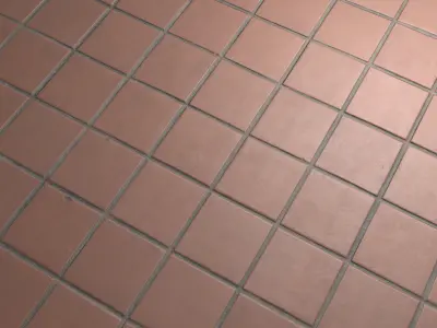  Reddish brown terracotta tiles Texture