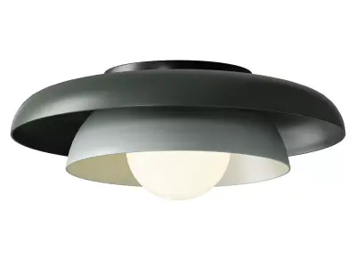 Lucia Living Neso Metal Saucer Flush Mount Ceiling Light 3D model