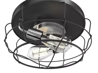 Gauge Collection Two-Light Flush Mount By Progress Lighting 3D model