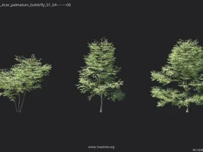 Maxtree Plant Models Vol 23 Low - Mesh 3D model