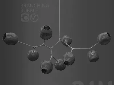 Branching bubble and G and C Bolle 3D model