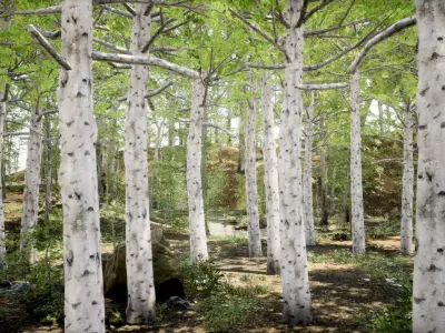 Korean Street Plant - 5 Korean Aspen Conifer Tree Low-poly 3D model