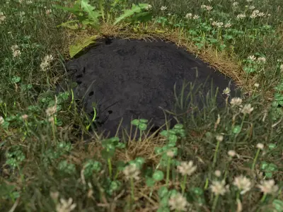 Mole Mound Low-poly 3D model