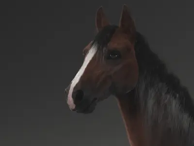  Horse ANIMATED 