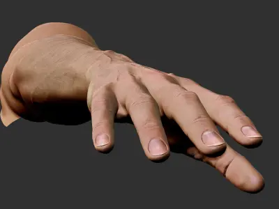  Realistic Male Arm 