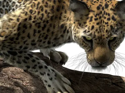  Leopard Fur (Rigged) 