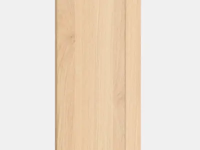 FORSBACKA Door 3 Low-poly 3D model