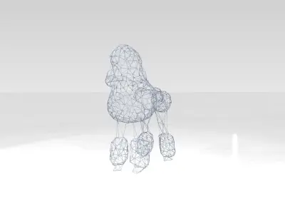 Poodle Wireframe 3D model