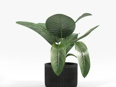 Cozzo Planter stone Yard Inc 3D model