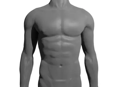 Male Female Mannequins 3D model