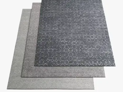 Restoration Hardware Rugs 85 3D model