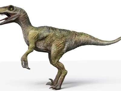  Velociraptor(Animated)(Rigged) 