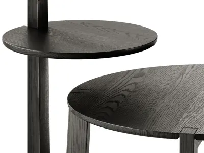 Rolf Benz Coffee and Side Tables 948 3D model
