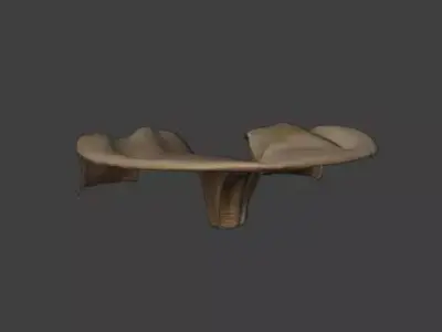 Parametric Wooden Pavilion - Futuristic Organic Shelter Low-poly 3D model
