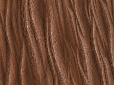 Rough Organic Dark Wood Bark PBR Texture