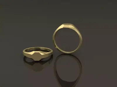 Dainty Thin Signet Octagon Round Mix Size 3D print model