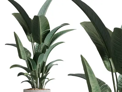 HQ Plants Bird Of ParadiseBird Vase 3D model