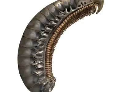 SciFi Biomechanical Segmented Alien Larva Low-poly 3D model