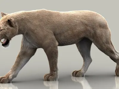  Lioness (3) (FUR) (ANIMATED) 