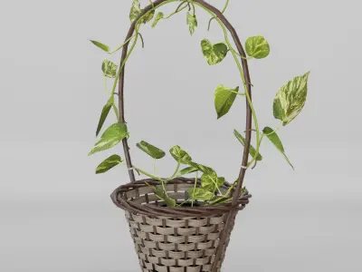 Basket Pothos Low-poly 3D model