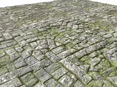 Old Mossy Floor Seamless PBR Texture