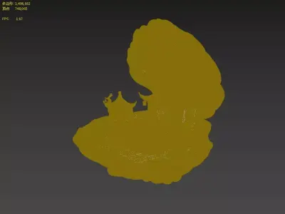 Shells  3D model