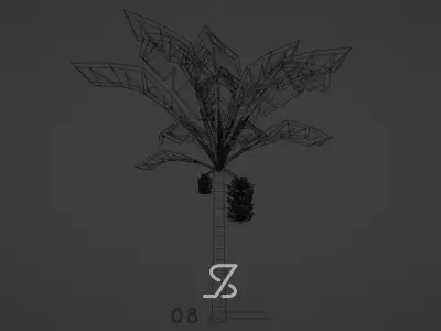 Banana Tree Free low-poly 3D model