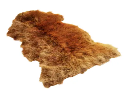Sheepskin New Zealand 3D model