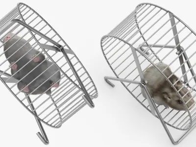  Pet Exercise Wheel on Stand with Running Hamster Fur 