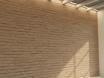 Brick wall Old brick 31 Texture