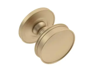 Berkeley Mortice Door Knob 3D model