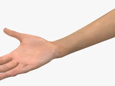  Female Hand with Short Nails Rigged for Cinema 4D 