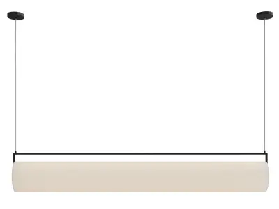 stunning pendant light  3D model