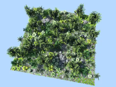 deep jungle scene Low-poly 3D model