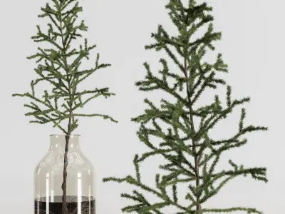 Collaction Plants Bouquet 20 pine  3D model