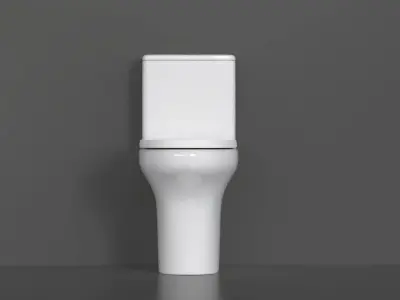 WC36 Toilet 3D model