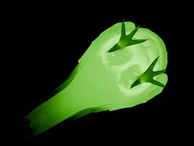 Kakapo indirect lighting 3D model
